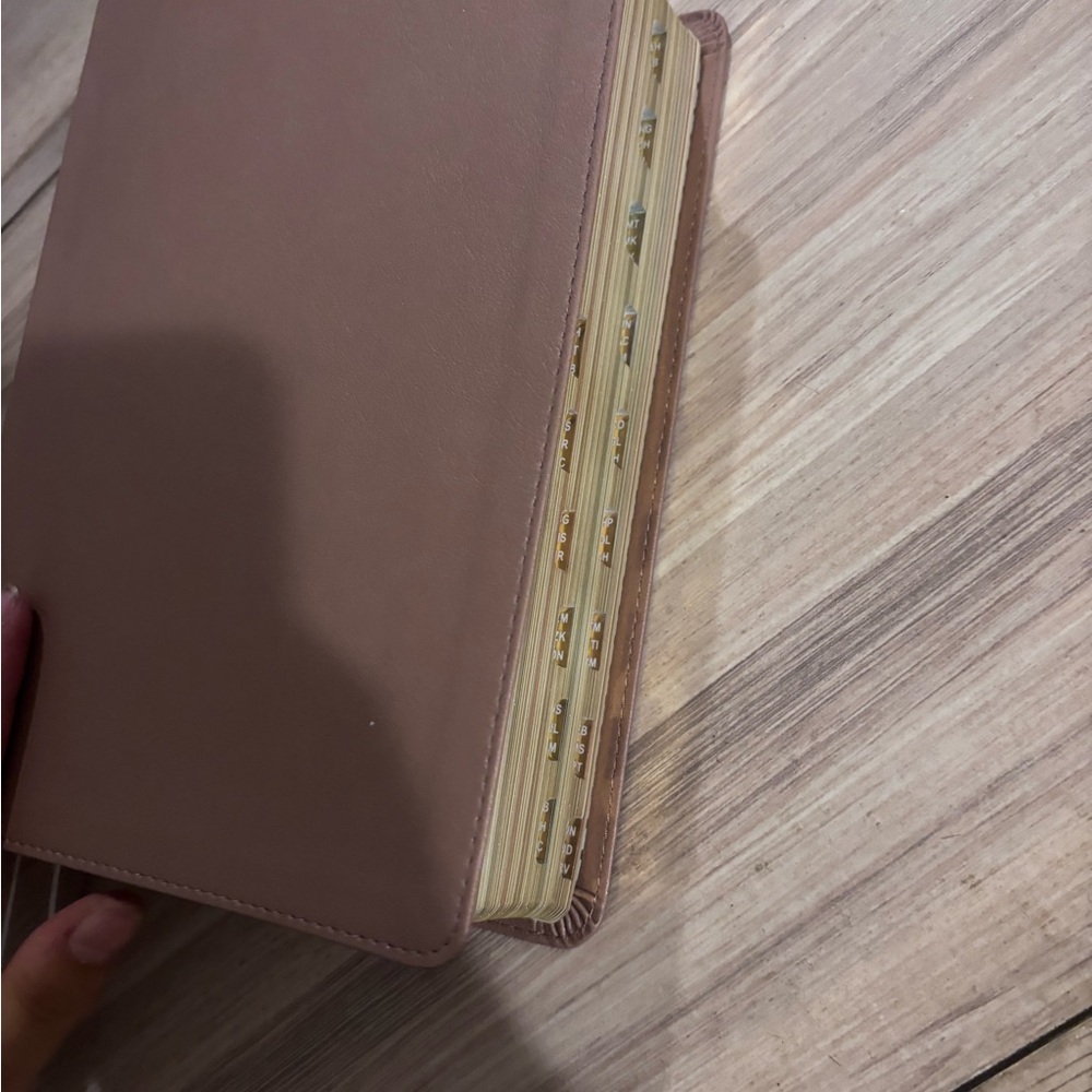 Rose Gold Leather Touch She Reads Truth CSB Bible (Indexed)